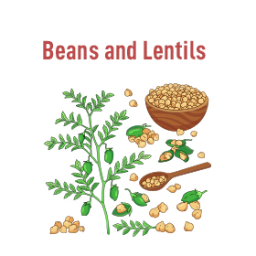 Beans-and-Lentils